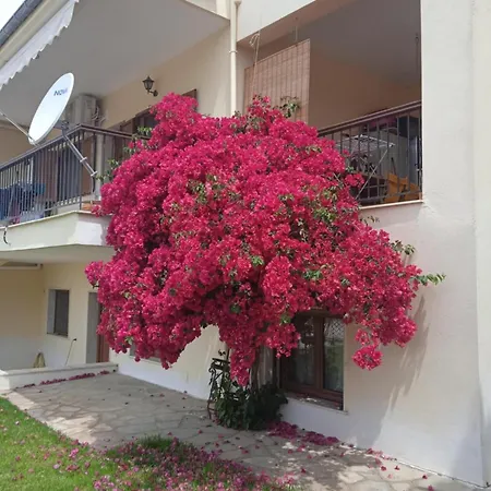 Apartament Mellonia *